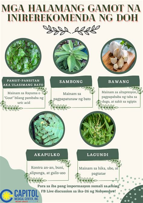Ang Pinaka Mabisang Natural Na Gamot Sa Mga .